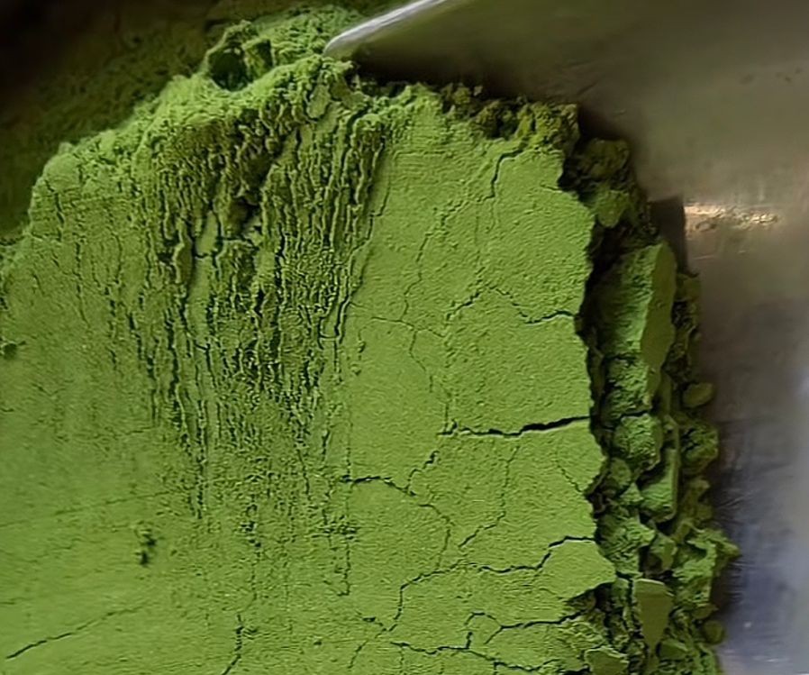 Moringa Powder - PT Cikal Artaniaga